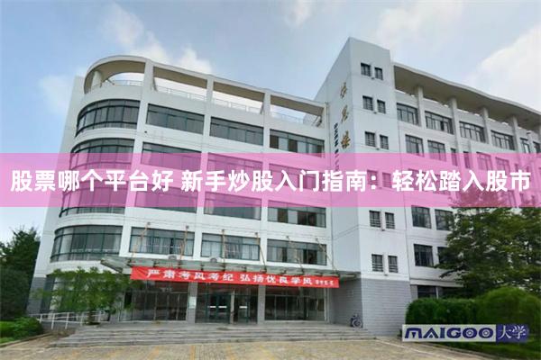 股票哪个平台好 新手炒股入门指南：轻松踏入股市