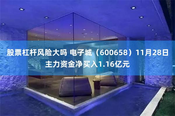 股票杠杆风险大吗 电子城（600658）11月28日主力资金净买入1.16亿元