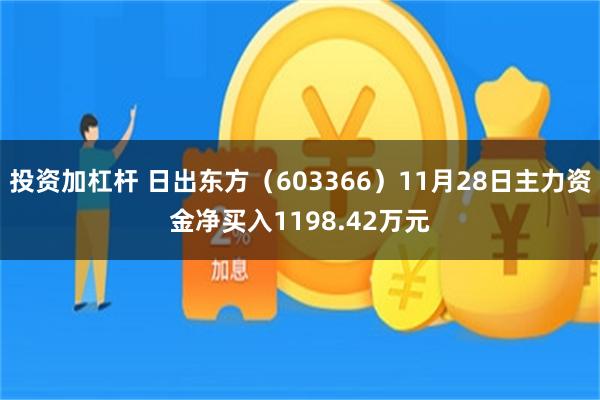 投资加杠杆 日出东方（603366）11月28日主力资金净买入1198.42万元