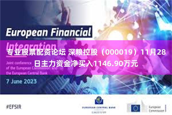 专业股票配资论坛 深粮控股（000019）11月28日主力资金净买入1146.90万元