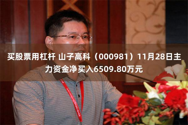 买股票用杠杆 山子高科（000981）11月28日主力资金净买入6509.80万元