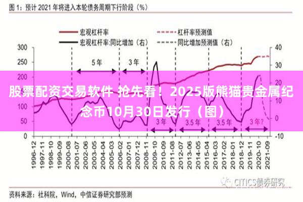 股票配资交易软件 抢先看！2025版熊猫贵金属纪念币10月30日发行（图）