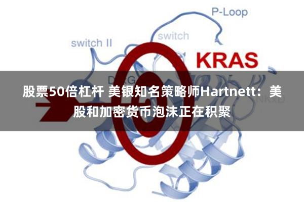 股票50倍杠杆 美银知名策略师Hartnett：美股和加密货币泡沫正在积聚