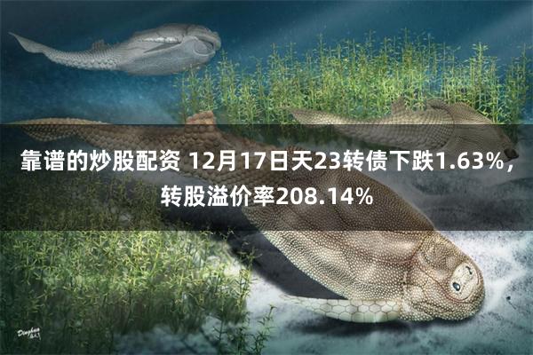 靠谱的炒股配资 12月17日天23转债下跌1.63%，转股溢价率208.14%