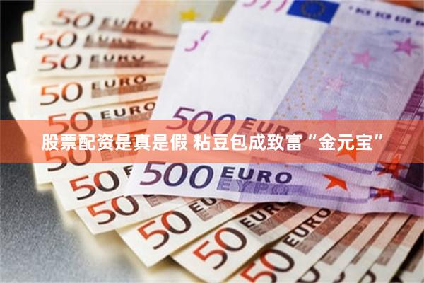 股票配资是真是假 粘豆包成致富“金元宝”