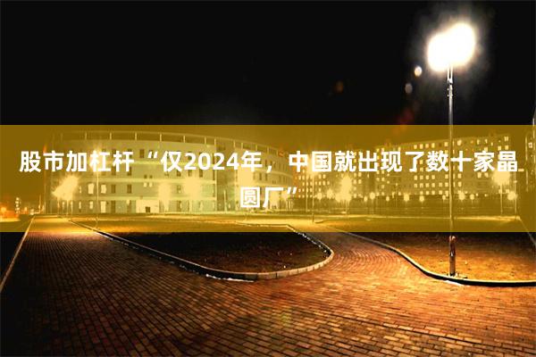 股市加杠杆 “仅2024年，中国就出现了数十家晶圆厂”