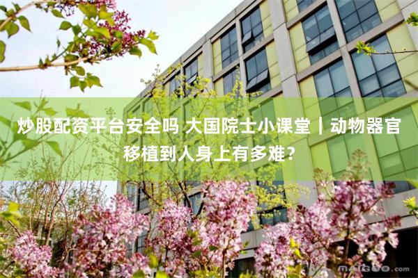 炒股配资平台安全吗 大国院士小课堂｜动物器官移植到人身上有多难？