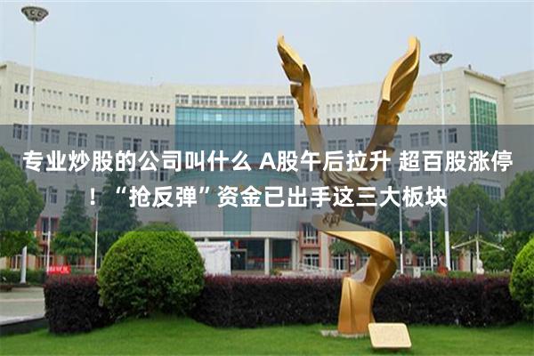 专业炒股的公司叫什么 A股午后拉升 超百股涨停！“抢反弹”资金已出手这三大板块
