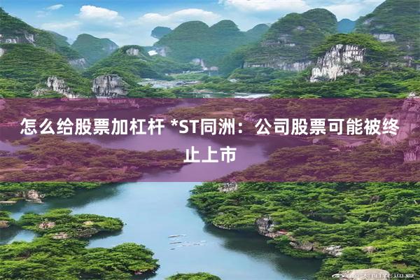 怎么给股票加杠杆 *ST同洲：公司股票可能被终止上市