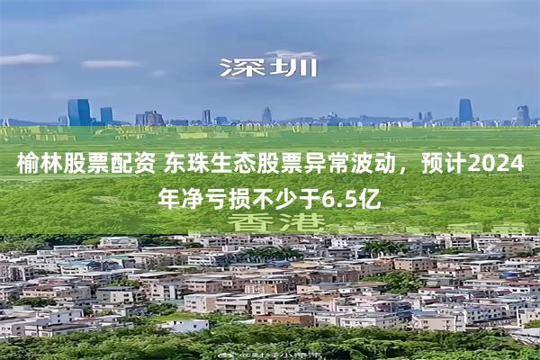 榆林股票配资 东珠生态股票异常波动，预计2024年净亏损不少于6.5亿