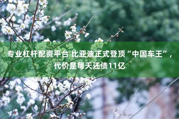 专业杠杆配资平台 比亚迪正式登顶“中国车王”，代价是每天还债11亿