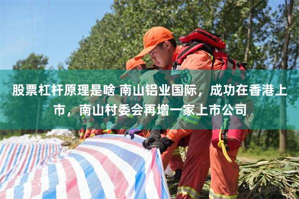 股票杠杆原理是啥 南山铝业国际，成功在香港上市，南山村委会再增一家上市公司