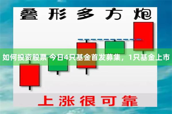 如何投资股票 今日4只基金首发募集，1只基金上市