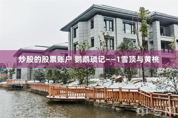 炒股的股票账户 鹦鹉琐记——1雪顶与黄桃