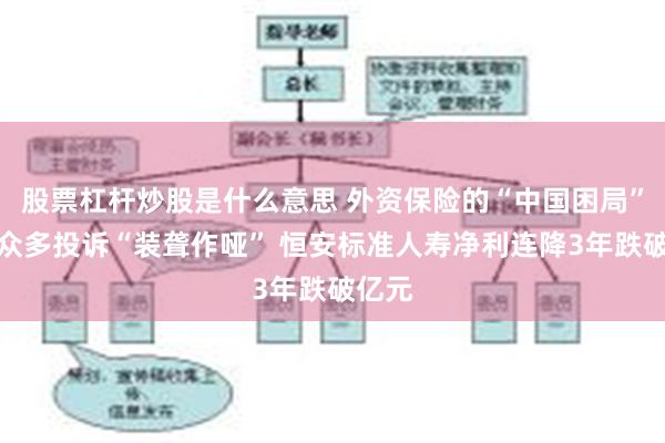 股票杠杆炒股是什么意思 外资保险的“中国困局”：对众多投诉“装聋作哑” 恒安标准人寿净利连降3年跌破亿元