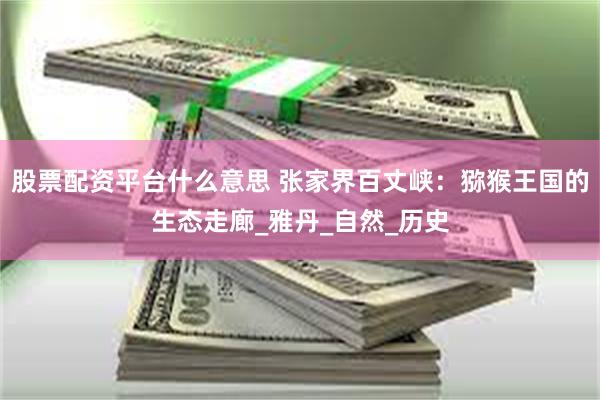 股票配资平台什么意思 张家界百丈峡：猕猴王国的生态走廊_雅丹_自然_历史