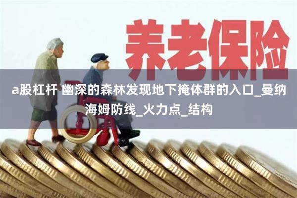 a股杠杆 幽深的森林发现地下掩体群的入口_曼纳海姆防线_火力点_结构