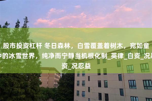 股市投资杠杆 冬日森林，白雪覆盖着树木，宛如童话中的冰雪世界，纯净而宁静当机根化制_英律_白资_况忍益