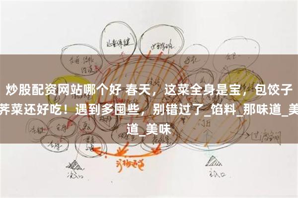 炒股配资网站哪个好 春天，这菜全身是宝，包饺子比荠菜还好吃！遇到多囤些，别错过了_馅料_那味道_美味