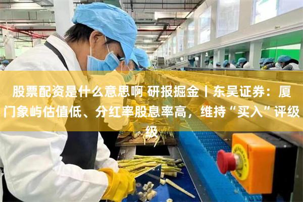 股票配资是什么意思啊 研报掘金丨东吴证券：厦门象屿估值低、分红率股息率高，维持“买入”评级