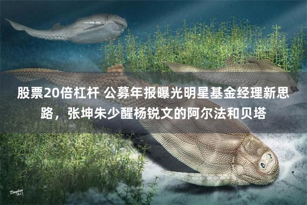 股票20倍杠杆 公募年报曝光明星基金经理新思路，张坤朱少醒杨锐文的阿尔法和贝塔