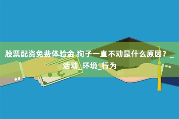 股票配资免费体验金 狗子一直不动是什么原因？_活动_环境_行为