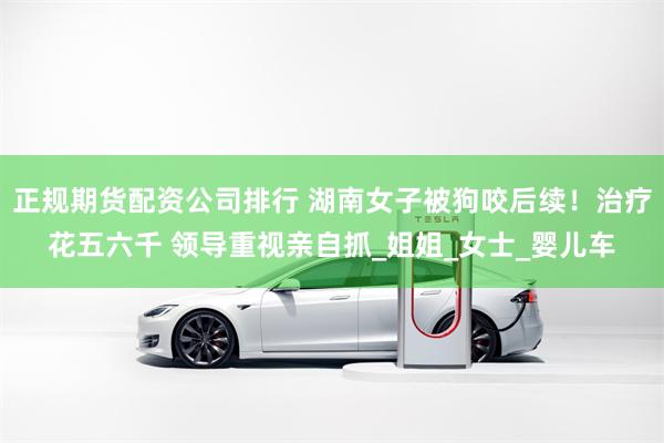 正规期货配资公司排行 湖南女子被狗咬后续！治疗花五六千 领导重视亲自抓_姐姐_女士_婴儿车