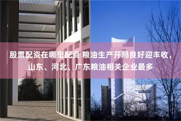 股票配资在哪里配资 粮油生产开局良好迎丰收，山东、河北、广东粮油相关企业最多