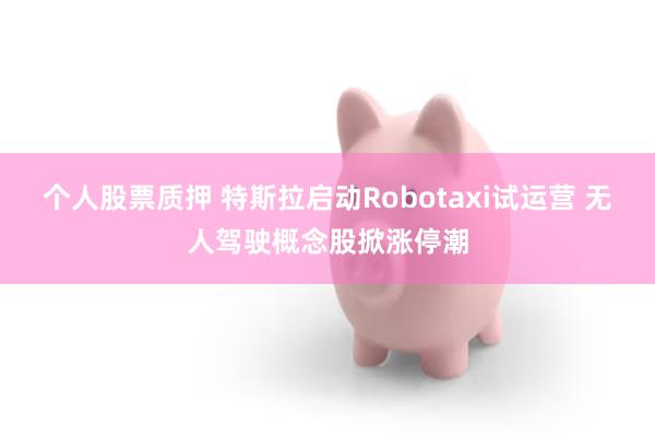 个人股票质押 特斯拉启动Robotaxi试运营 无人驾驶概念股掀涨停潮
