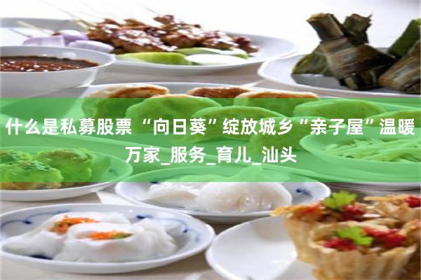 什么是私募股票 “向日葵”绽放城乡“亲子屋”温暖万家_服务_育儿_汕头