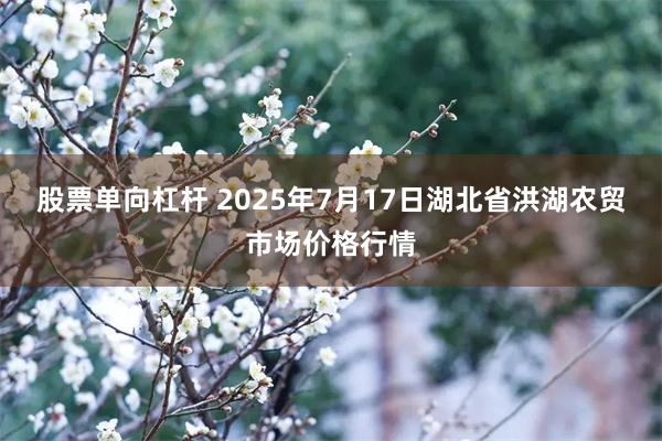 股票单向杠杆 2025年7月17日湖北省洪湖农贸市场价格行情
