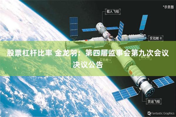 股票杠杆比率 金龙羽：第四届监事会第九次会议决议公告
