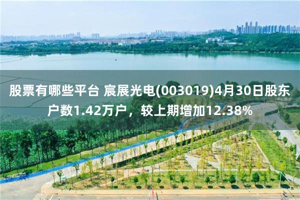 股票有哪些平台 宸展光电(003019)4月30日股东户数1.42万户,较上期增加12.38%